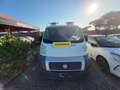 Fiat Ducato 2.3 tdj  allestito officina Bianco - thumbnail 1