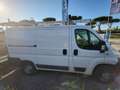 Fiat Ducato 2.3 tdj  allestito officina Bianco - thumbnail 5