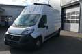 Fiat Ducato Ducato Maxi 35 L3H3 160 TEMP NAVI RÜFAK Weiß - thumbnail 3