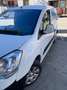 Citroen Berlingo 1.6 hdi X 75cv Bianco - thumbnail 1