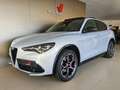 Alfa Romeo Stelvio 2.0 Turbo 280 CV AT8 Q4 Veloce Argent - thumbnail 2