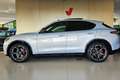 Alfa Romeo Stelvio 2.0 Turbo 280 CV AT8 Q4 Veloce Argent - thumbnail 1