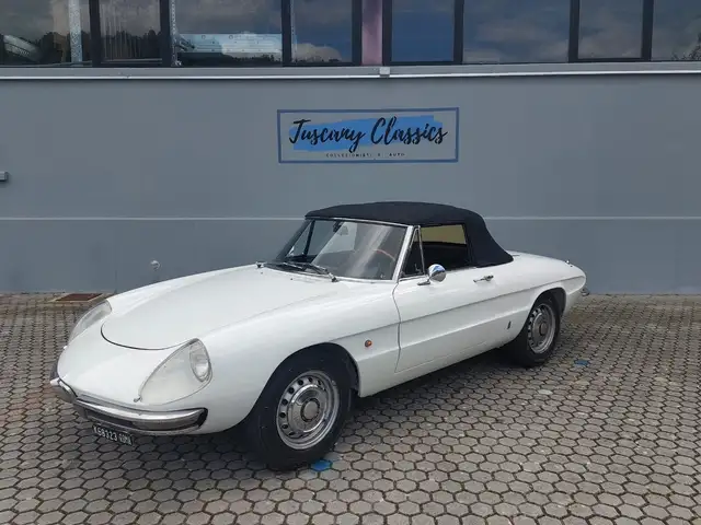 Alfa Romeo Spider 1750 Osso di seppia