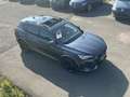 CUPRA Formentor VZ 1.4 e-HYBRID ACC AHK PANO KAMERA Gris - thumbnail 1