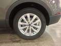 Audi Q3 City Line 35 TFSI 110 kW (150 CV) S tronic Gris - thumbnail 5