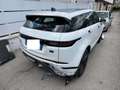 Land Rover Range Rover Evoque Range Rover Evoque 2.0D I4 163 CV AWD Auto R-Dynam Bianco - thumbnail 9