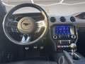 Ford Mustang Mustang Fastback 317cv-VIRTUAL-PREMIUM-MACH 1 PACK Grigio - thumbnail 13