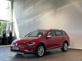 Volkswagen Golf VII Alltrack Led Massage Leder AHK Kamera Rot - thumbnail 4
