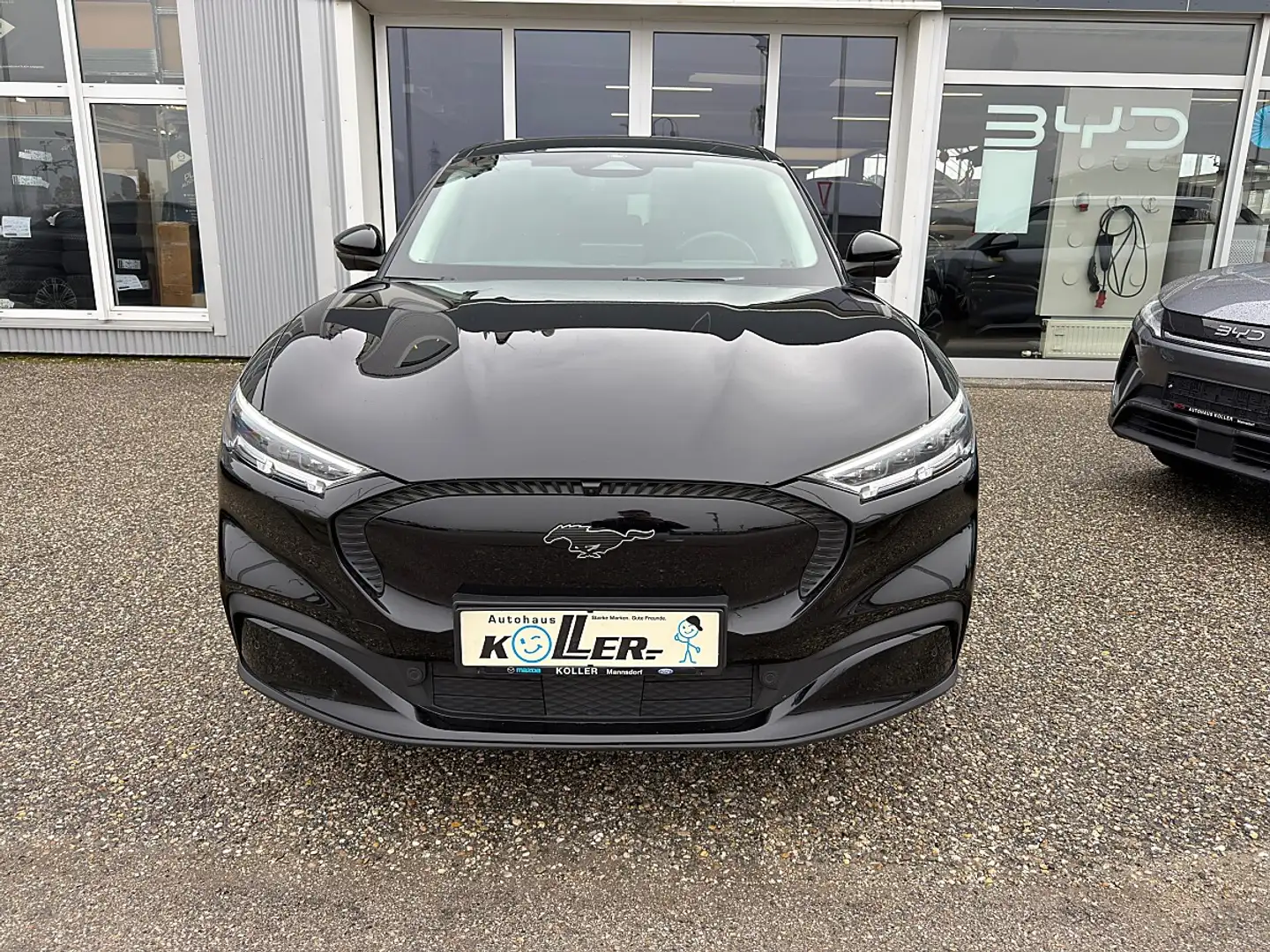 Ford Mustang Mach-E Elektro Standard Range Noir - 2