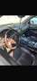 Porsche Cayenne II GTS 4,8 Aut. - thumbnail 4