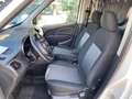 Fiat Doblo 1.3 MTJ 95 CV SX CARGO Bianco - thumbnail 9