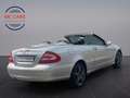 Mercedes-Benz CLK 320 CLK Cabrio Silber - thumbnail 8
