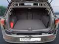 Volkswagen Golf Goal 1,5 l eTSI 110 kW (150 PS) 7-Gang  DSG Schwarz - thumbnail 8