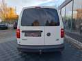 Volkswagen Caddy *LKW*NFZ*Regal*Kasten*Klima*Tüv Neu* Weiß - thumbnail 6