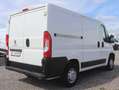 Peugeot Boxer L1H1 Kasten/€ 13.900,-netto/ TEL TEMP KLIMA Weiß - thumbnail 6