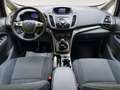 Ford C-Max C-MAX 2.0 TDCI Titanium Navi Kamera Grau - thumbnail 10