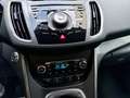 Ford C-Max C-MAX 2.0 TDCI Titanium Navi Kamera Grau - thumbnail 13