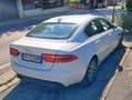 Jaguar XE XE 2.0d i4 Pure Business edition 180cv auto my19 Bianco - thumbnail 1