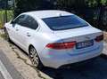 Jaguar XE XE 2.0d i4 Pure Business edition 180cv auto my19 Bianco - thumbnail 3