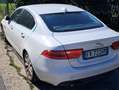 Jaguar XE XE 2.0d i4 Pure Business edition 180cv auto my19 Bianco - thumbnail 4