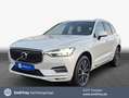 Volvo XC60 XC60 B5 D AWD Geartronic Inscription Luft-FW*RFC Weiß - thumbnail 1