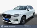 Volvo XC60 XC60 B5 D AWD Geartronic Inscription Luft-FW*RFC Weiß - thumbnail 1