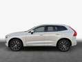 Volvo XC60 XC60 B5 D AWD Geartronic Inscription Luft-FW*RFC Weiß - thumbnail 4
