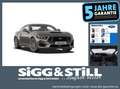 Ford Mustang Coupe GT 5.0 **NEUES MODELL** ACC Grau - thumbnail 1