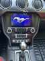 Ford Mustang Fastback 5.0 Ti-VCT V8 ( Sauger ) - thumbnail 3