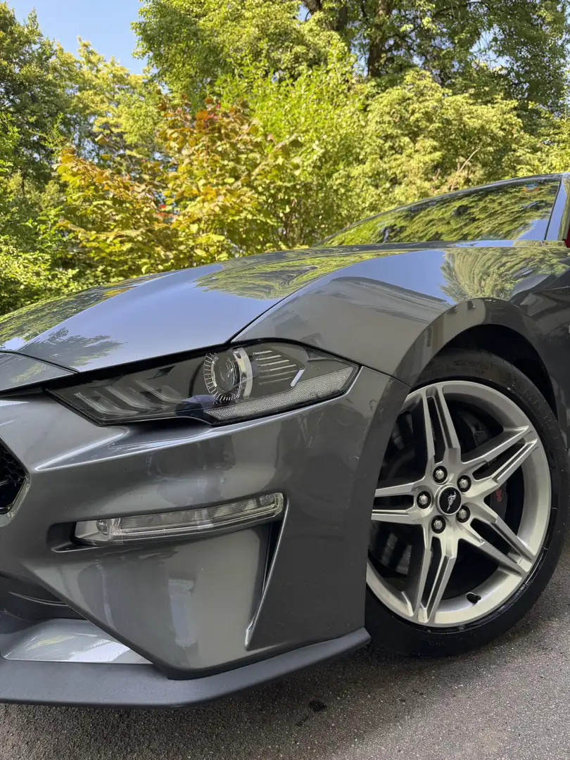 Ford Mustang Fastback 5.0 Ti-VCT V8 ( Sauger ) - 1