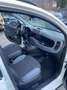 Fiat Panda Panda III 4x4 0.9 t.air t. 4x4 s Bianco - thumbnail 10