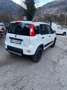Fiat Panda Panda III 4x4 0.9 t.air t. 4x4 s Bianco - thumbnail 7