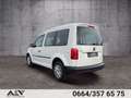 Volkswagen Caddy Conceptline BMT 2,0 TDI 5-Sitzer Mwst. 1.Besitz Blanc - thumbnail 3