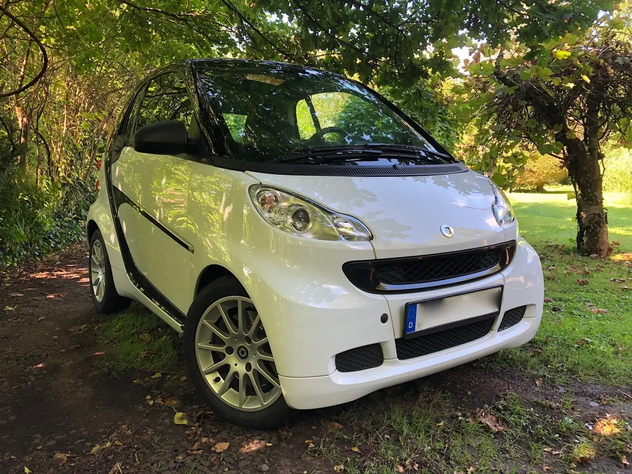 smart forTwo