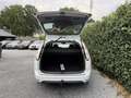 Ford Focus Wagon 1.6 Trend | Airco | Cruise Control | Elekt. Blanco - thumbnail 22