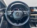 Skoda Kamiq 1.0 TSI 110 CV Style Argento - thumbnail 10