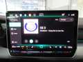 Volkswagen Golf Variant Business TDI Schwarz - thumbnail 13