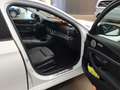 Mercedes-Benz E 220 T d Avantgarde Night Pano 360° Burm Distro Weiß - thumbnail 8