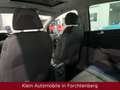 Volkswagen Golf Plus TourEdition Klimatronic PDC TÜVNEU 2HD Blau - thumbnail 12