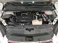 Chevrolet Trax Trax 1.7 LTZ awd 130cv 4x4 Blanc - thumbnail 4