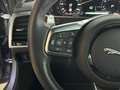 Jaguar F-Type 5.0L V8*R-Dynami*Pano*Leder*LED*R.Cam*ACC Gris - thumbnail 17
