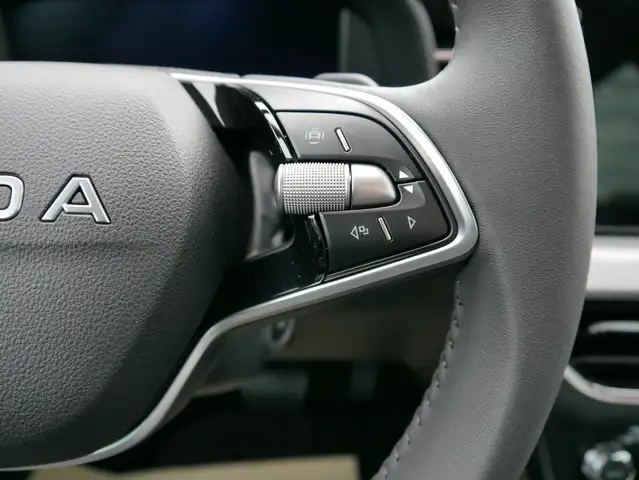 Skoda Kamiq view 14