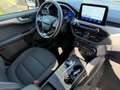 Ford Kuga 1.5 EcoBlue 120 CV aut. 2WD Titanium Business Grau - thumbnail 15