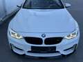 BMW M4 Cabrio M-DKG Aut. (F83) - thumbnail 18