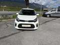 Kia Picanto Picanto Weiß - thumbnail 2