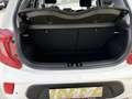 Kia Picanto Picanto Weiß - thumbnail 6