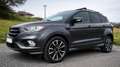 Ford Kuga 2.0TDCi Auto S&S ST-Line 4x2 150 Gris - thumbnail 1