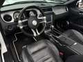 Ford Mustang GT 5.0 V8 Cabrio *Kamera*Navi *PRINZ GAS Weiß - thumbnail 9