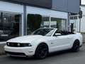 Ford Mustang GT 5.0 V8 Cabrio *Kamera*Navi *PRINZ GAS Weiß - thumbnail 3