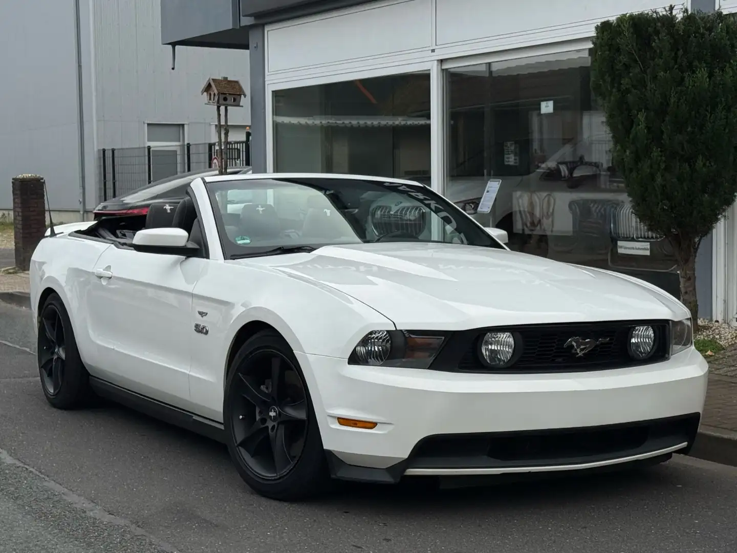 Ford Mustang GT 5.0 V8 Cabrio *Kamera*Navi *PRINZ GAS Weiß - 2